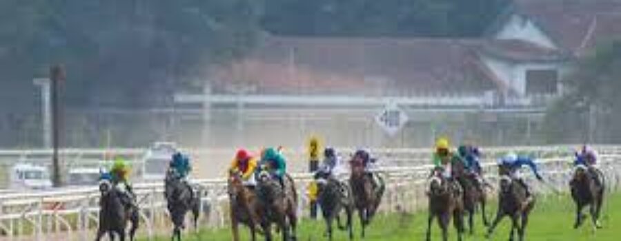 Pune and Hyderabad Race Analysis, tip and Trackwork 21 Sep 25