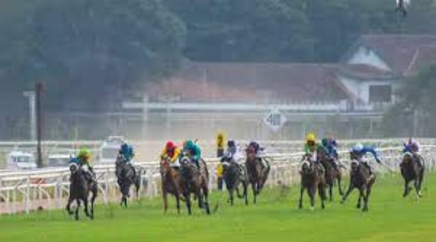 Pune and Hyderabad Race Analysis, tip and Trackwork 21 Sep 25