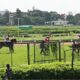 “Mayne’s Magical Sixth and Circle’s Costly Failure”Bangalore Races Recaps