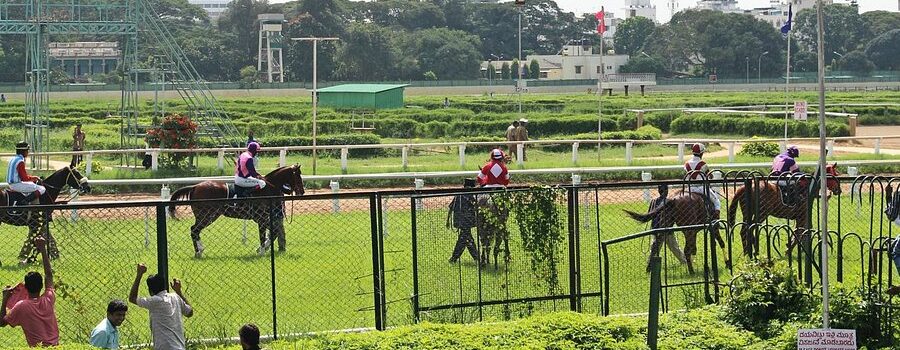 “Mayne’s Magical Sixth and Circle’s Costly Failure”Bangalore Races Recaps