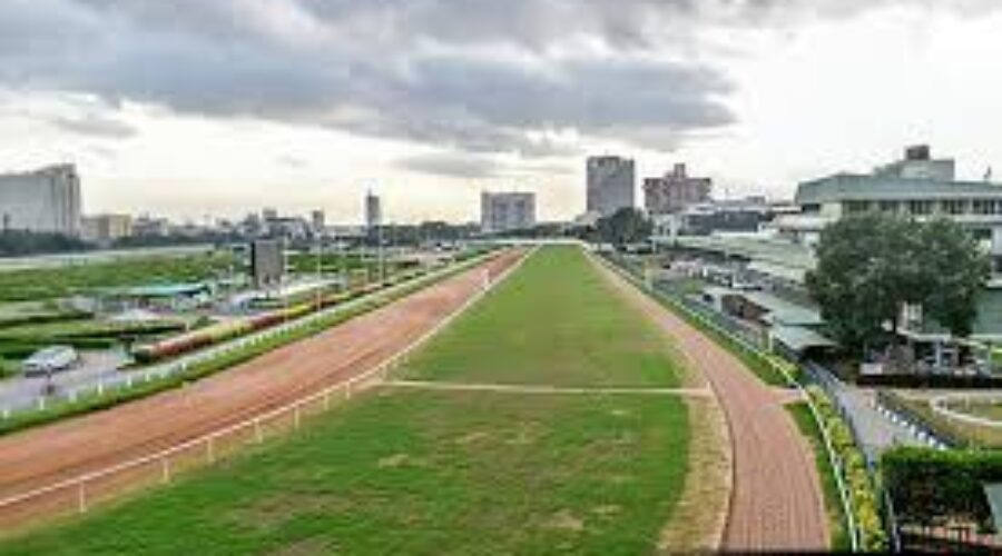 Bangalore Saturday’s Races  Recap: When Longshots Lit Up the Track