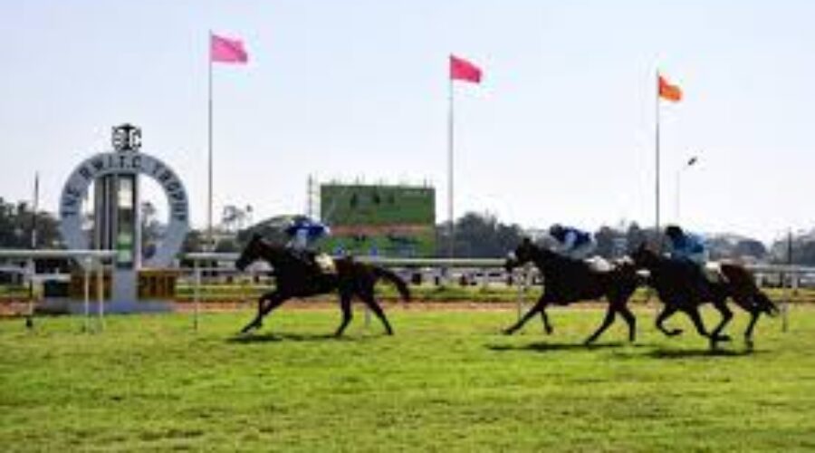 Bangalore Races Analysis Tips Trackwork 22 Nov 25